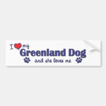 I Love My Greenland Dog (Female Dog) Bumper Stickers