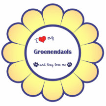 I Love My Groenendaels (Multiple Dogs) Acrylic Cut Out