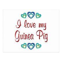 I Love My Guinea Pig Postcards