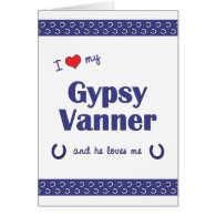 I Love My Gypsy Vanner (Male Horse) Cards