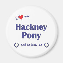 I Love My Hackney Pony (Male Pony) Fridge Magnet