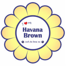 I Love My Havana Brown (Female Cat) Acrylic Cut Outs