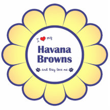 I Love My Havana Browns (Multiple Cats) Photo Cutout