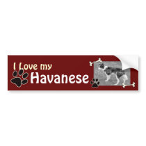 I love my Havanese Bumper Sticker bumper stickers