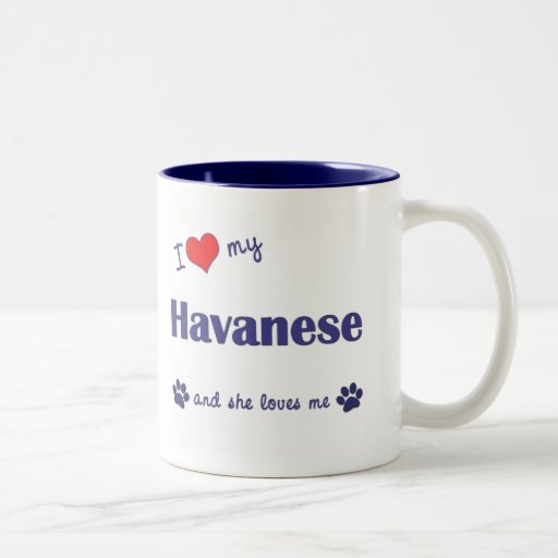 I Love My Havanese (Female Dog) Mugs