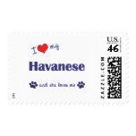 I Love My Havanese (Female Dog) postage