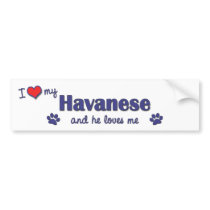 I Love My Havanese (Male Dog) Bumper Sticker