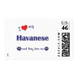 I Love My Havanese (Multiple Dogs) postage