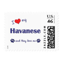 I Love My Havanese (Multiple Dogs) Stamp