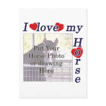 I love my Horse: Add your Photo or Text postcards by HorseTeez I love my Horse: Add your Photo or Text postcards