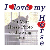 I love my Horse: Add your Photo or Text t-shirts by HorseTeez I love my Horse: Add your Photo or Text t-shirts
