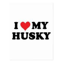 I Love My Husky Postcard