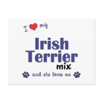 I Love My Irish Terrier Mix (Female Dog) postcards