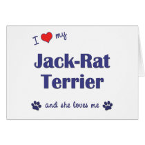 I Love My Jack-Rat Terrier (Female Dog) cards