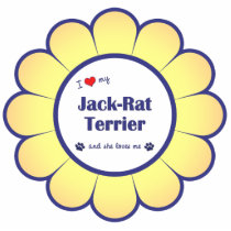 I Love My Jack-Rat Terrier (Female Dog) Ornament photo sculptures