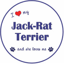I Love My Jack-Rat Terrier (Female Dog) Ornament photo sculptures
