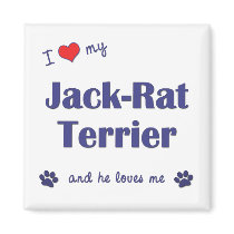 I Love My Jack-Rat Terrier (Male Dog) magnets