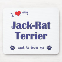 I Love My Jack-Rat Terrier (Male Dog) mousepads