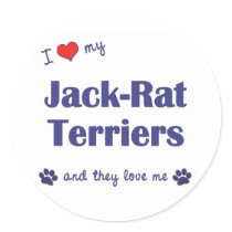 I Love My Jack-Rat Terriers (Multiple Dogs) stickers