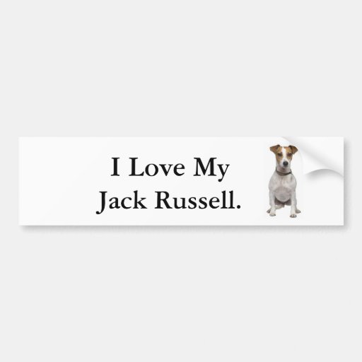 I Love My Jack Russell. Bumper Stickers