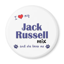 I Love My Jack Russell Mix (Female Dog) magnets
