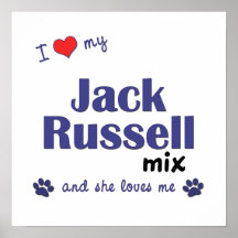 I Love My Jack Russell Mix (Female Dog) Poster