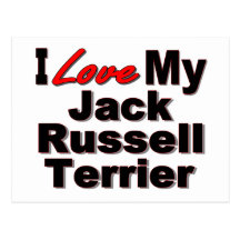 I Love My Jack Russell Terrier Dog Gifts Postcard