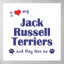 I Love My Jack Russell Terriers (Multiple Dogs) Print