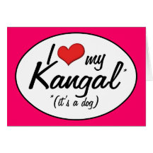 I Love My Kangal (It's a Dog) Card
