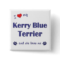 I Love My Kerry Blue Terrier (Female Dog) buttons