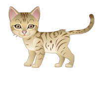 I Love My Kitty t-shirts by Wildlifeshoppe I Love My Kitty t-shirts
