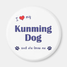 I Love My Kunming Dog (Female Dog) Fridge Magnet