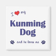 I Love My Kunming Dog (Male Dog) Fridge Magnets