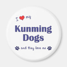I Love My Kunming Dogs (Multiple Dogs) Magnet