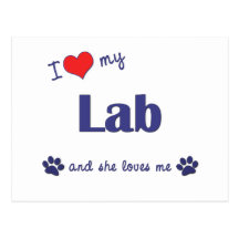 I Love My Lab (Female Dog) Postcards