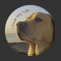 I love my Lab magnets