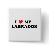 I Love My Labrador Pinback Buttons