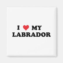 I Love My Labrador Magnets