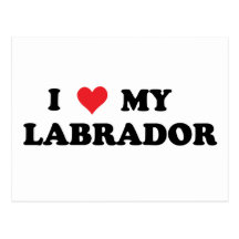 I Love My Labrador Post Card