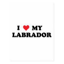 I Love My Labrador Post Cards