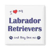 I Love My Labrador Retrievers (Multiple Dogs) magnets by thatsalottadogs I Love My Labrador Retrievers (Multiple Dogs) magnets
