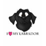 I love my labrador tee shirts