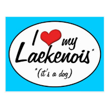 I Love My Laekenois (It's a Dog) Post Cards