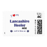 I Love My Lancashire Heeler Mix (Male Dog) Postage