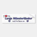 I Love My Large Munsterlander (Male Dog) Bumper Stickers