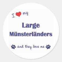 I Love My Large Munsterlanders (Multiple Dogs) Stickers