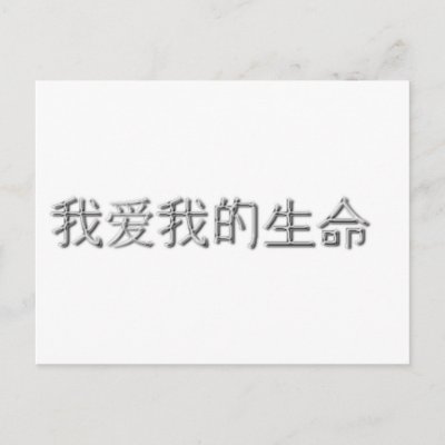 My In Chinese