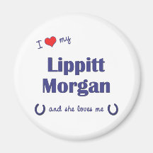 I Love My Lippitt Morgan (Female Horse) Refrigerator Magnets