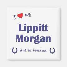 I Love My Lippitt Morgan (Male Horse) Fridge Magnet
