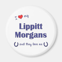 I Love My Lippitt Morgans (Multiple Horses) Refrigerator Magnet